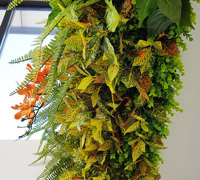 Long Green-Wall softens & brightens-up modern sales office...