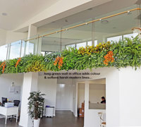 Long Green-Wall softens & brightens-up modern sales office...