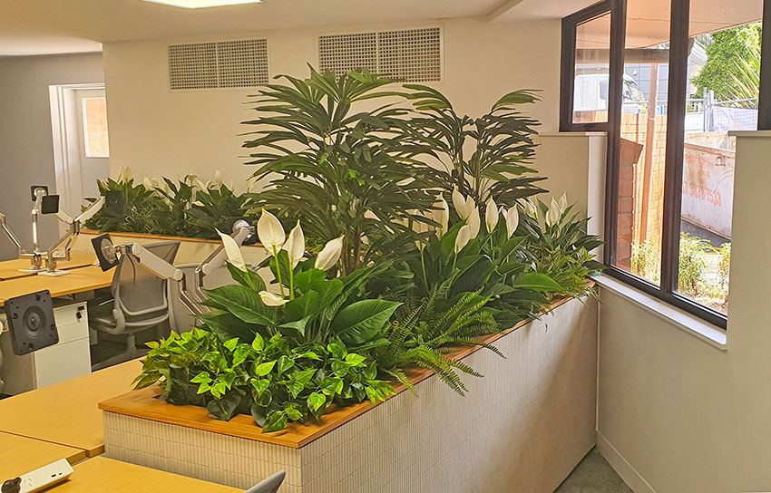 New offices with a green shine...