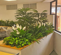 New offices with a green shine...