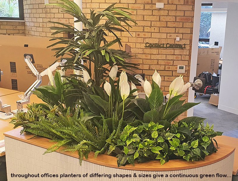 New offices with a green shine...