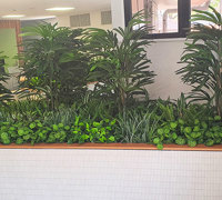 New offices with a green shine...