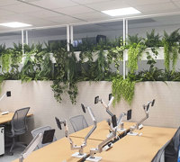 New offices with a green shine...