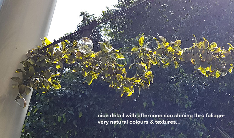 Full-Sun artificial Vines in exposed office complex courtyard...