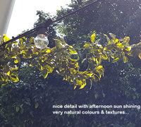 Full-Sun artificial Vines in exposed office complex courtyard...
