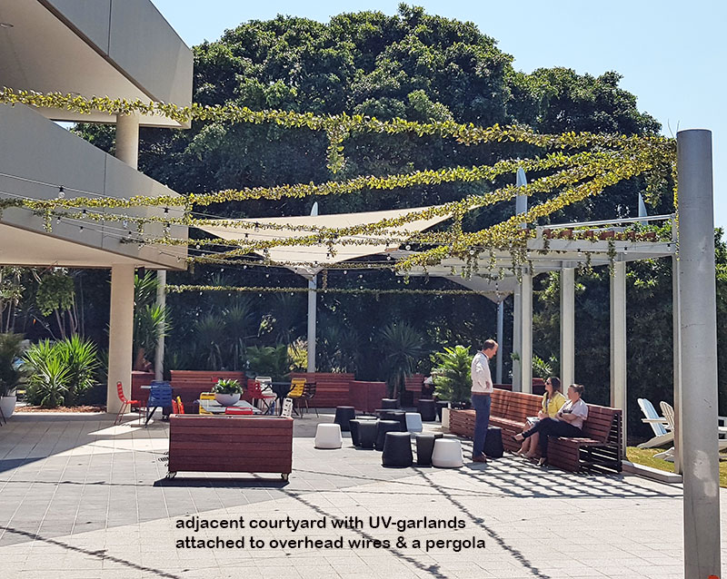 Full-Sun artificial Vines in exposed office complex courtyard...