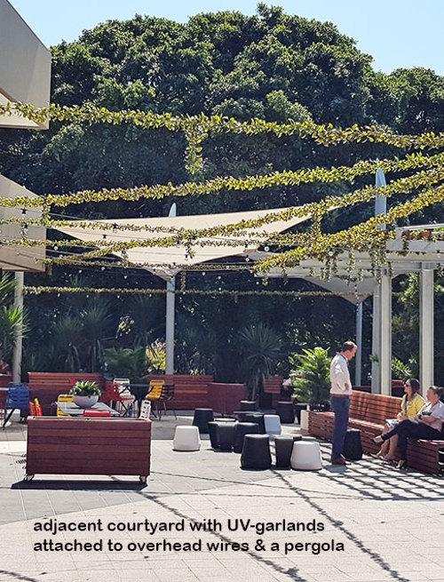 Full-Sun artificial Vines in exposed office complex courtyard...