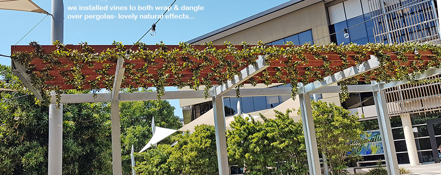 Full-Sun artificial Vines in exposed office complex courtyard...