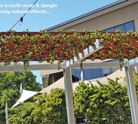 Full-Sun artificial Vines in exposed office complex courtyard...