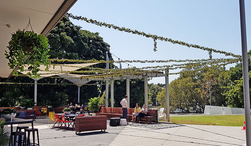 Full-Sun artificial Vines in exposed office complex courtyard...