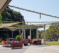 Full-Sun artificial Vines in exposed office complex courtyard...