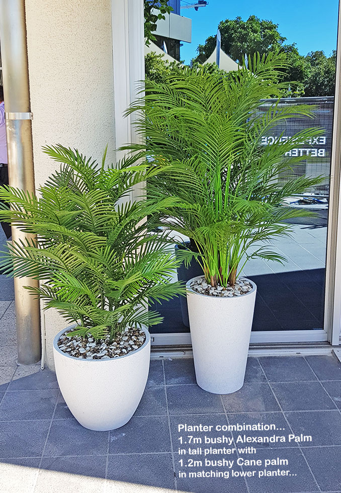 Green accents help unify adjacent office spaces...