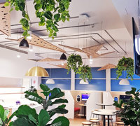 Green accents help unify adjacent office spaces...