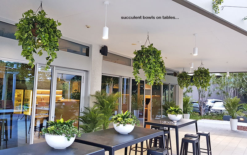 Green accents help unify adjacent office spaces...