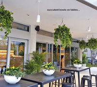 Green accents help unify adjacent office spaces...