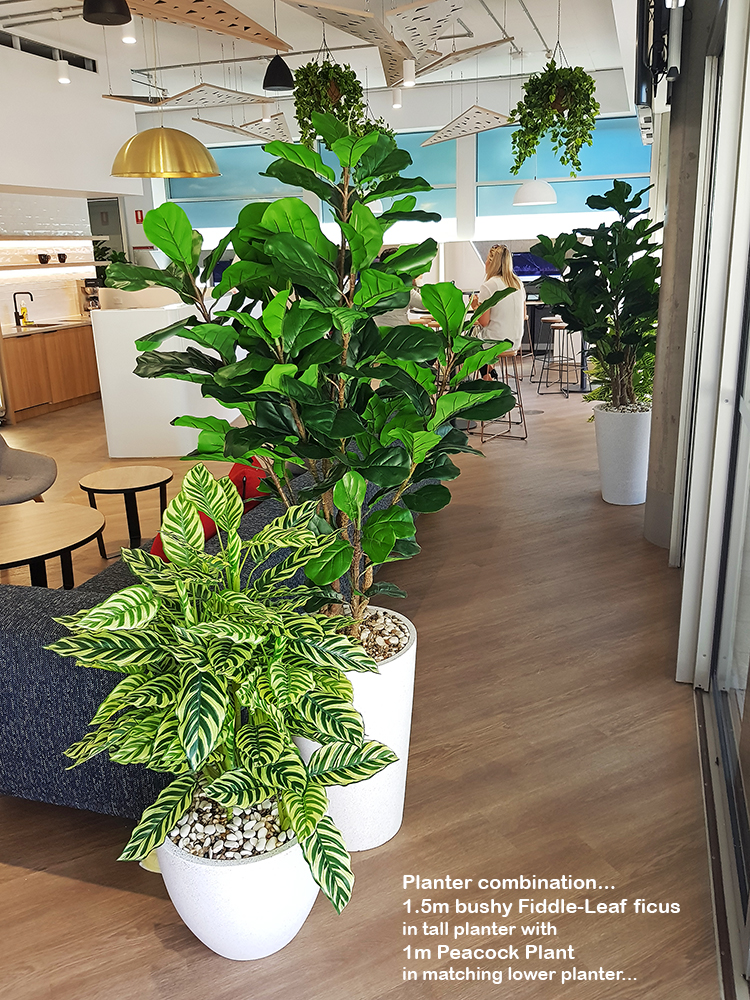 Green accents help unify adjacent office spaces...