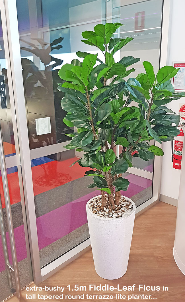 Green accents help unify adjacent office spaces...