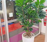 Green accents help unify adjacent office spaces...