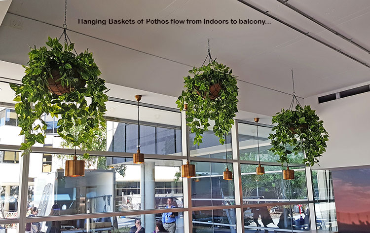 Green accents help unify adjacent office spaces...