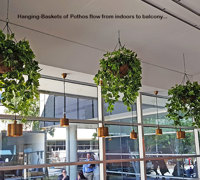 Green accents help unify adjacent office spaces...
