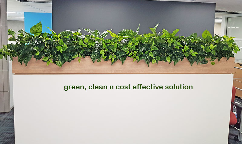 Small privacy planters in office...