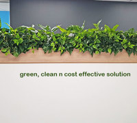 Small privacy planters in office...