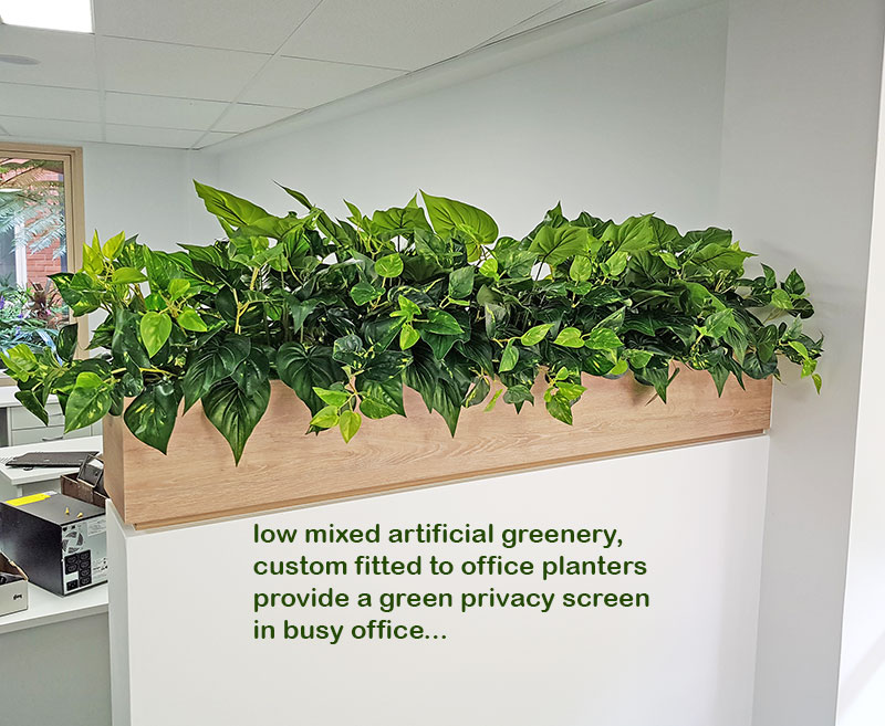 Small privacy planters in office...