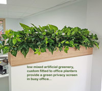 Small privacy planters in office...