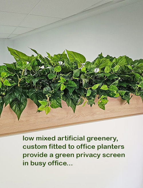 Small privacy planters in office...