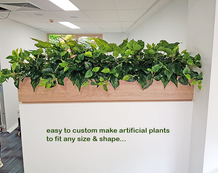 Small privacy planters in office...