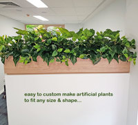 Small privacy planters in office...