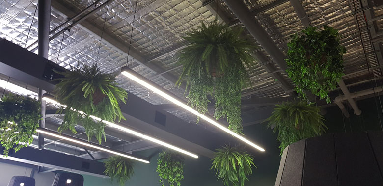 Before n After Shots..... Hanging-Baskets