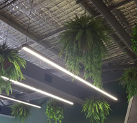 Before n After Shots..... Hanging-Baskets