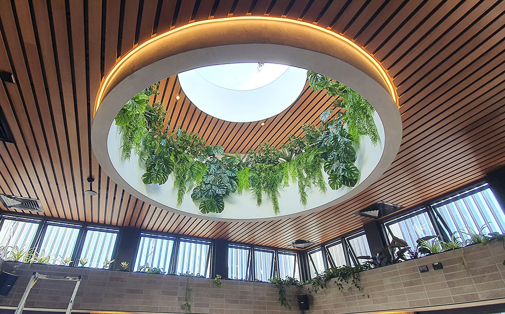 open ceiling planter uses latest sun-tolerant greenery