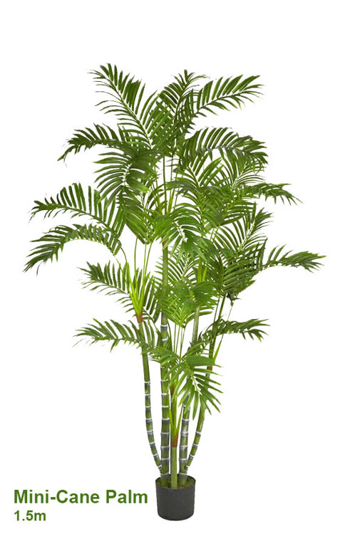 Articial Plants - Mini-Cane Palm 1.5m