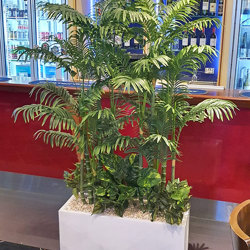 Mini-Cane Palm 1.5m - artificial plants, flowers & trees - image 3