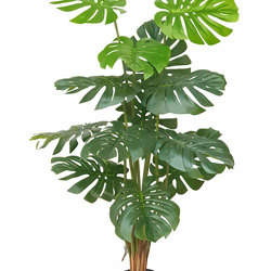 Monsterio 'giant leaf' 1.4m - artificial plants, flowers & trees - image 8