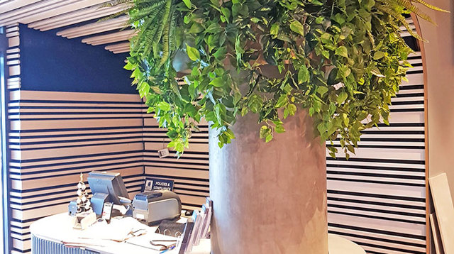 Football Clubhouse uses artificial greenery to set-off beautiful custom-built planters