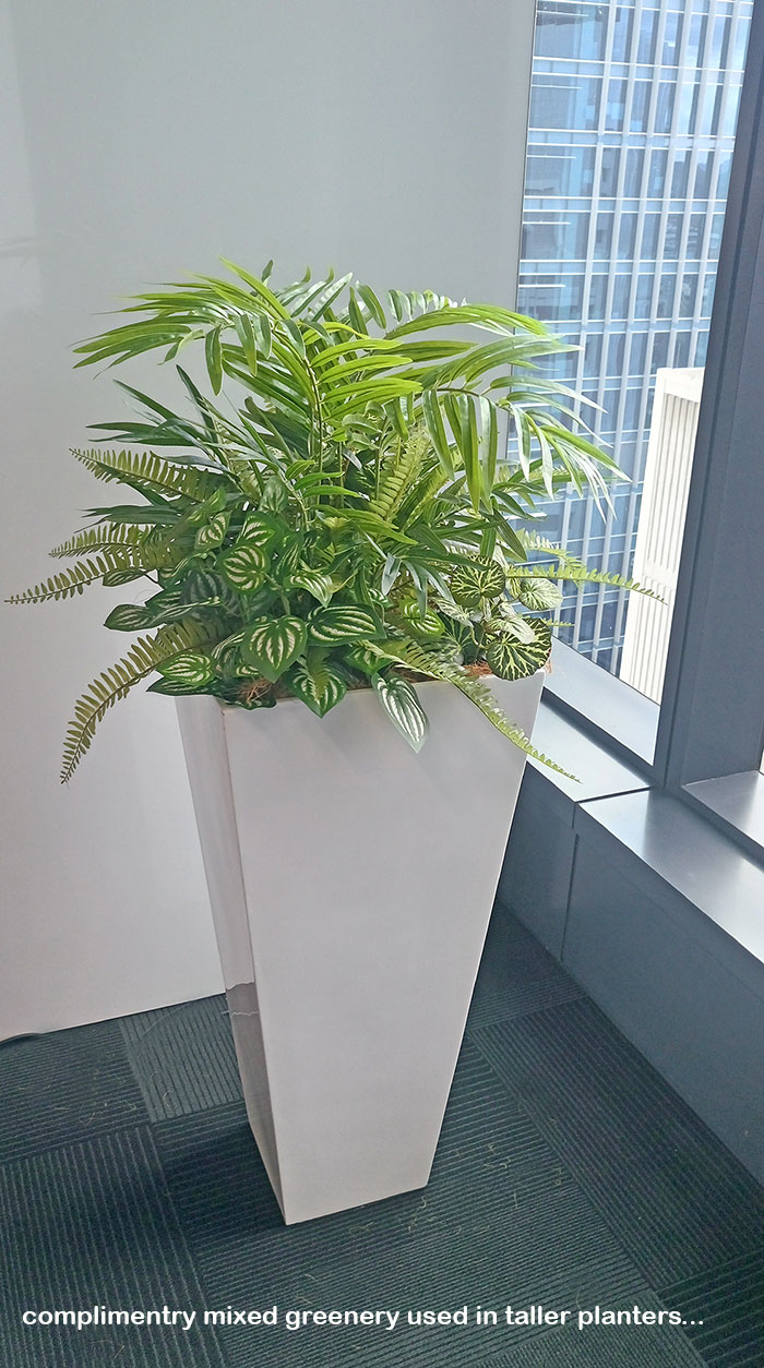 Assorted office planters with matching greenery mixes... image 6