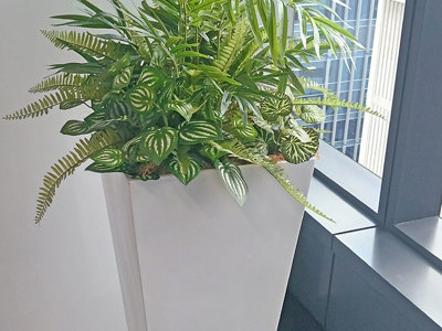 Assorted office planters with matching greenery mixes...