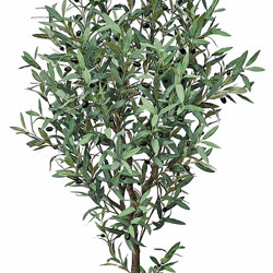 Olive Tree 2.2m - artificial plants, flowers & trees - image 9