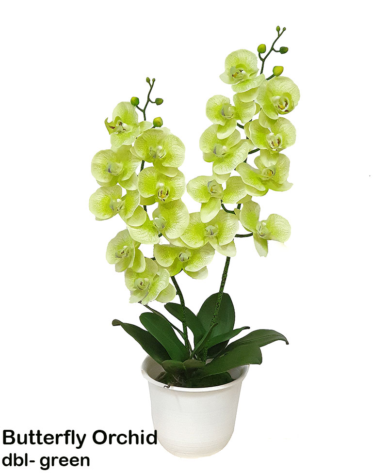 Artificial Butterfly Orchid Bowls- green