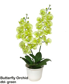 Butterfly Orchid Bowls- green
