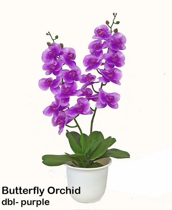 Articial Plants - Artificial Butterfly Orchid Bowls- purple