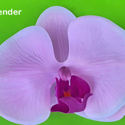 Orchid Plaque - artificial plants, flowers & trees - image 6