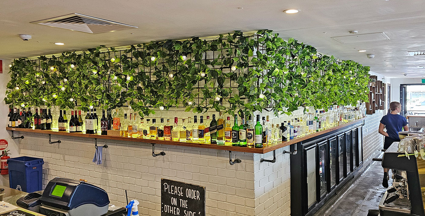 Bar is softened by Pothos Vines over mesh screens