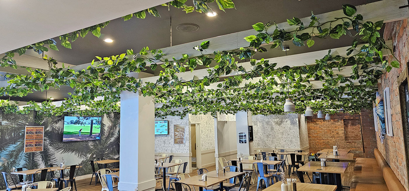 Climbing Vines used for instant 'alfresco-look' in Hotel dining areas... 