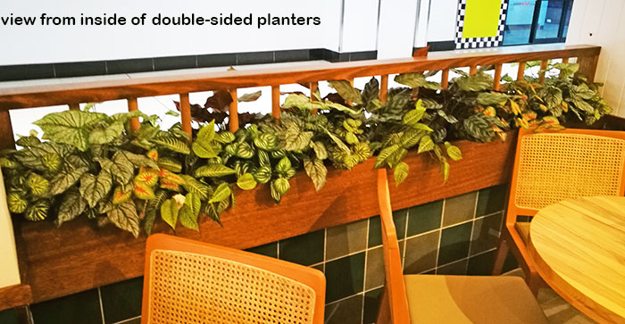 Window-Box planters in Restaurant image 6