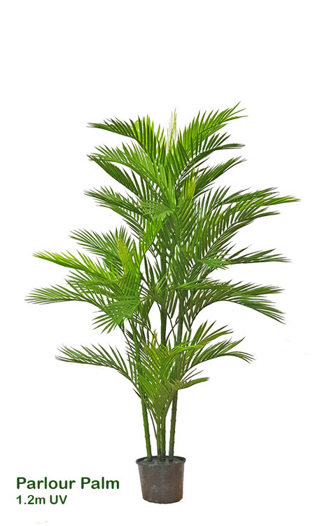 Articial Plants - Parlour Palm UV 1.3m