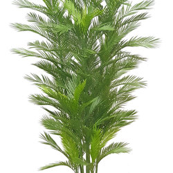 Parlour Palm UV 2.1m - artificial plants, flowers & trees - image 7